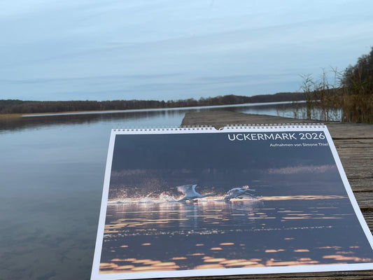 Der Uckermark Kalender 2026 – Ein Jahr Heimat für deine Wand